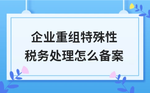 企业重组特殊性税务处理备案流程与关键步骤解析 - 南径何舜会计资讯