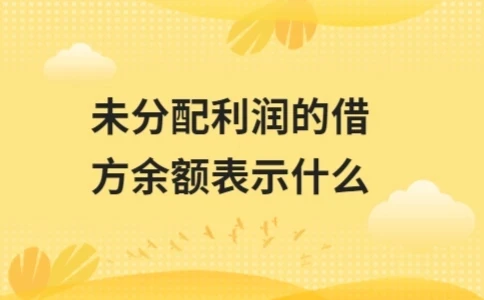 未分配利润借方余额含义及用途解析(图1)
