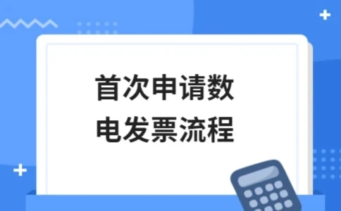 首次申请数电发票流程详解(图1)