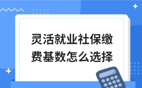 灵活就业社保缴费基数怎么选择｜选档位实用指南 - ��ý���鱨��վ
