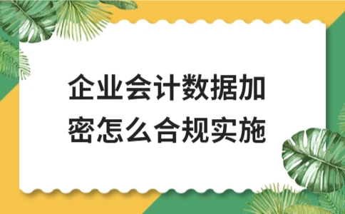 企业会计数据加密合规实施指南｜核心要点解析 - ��ý���鱨��վ