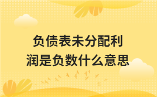 负债表未分配利润是负数什么意思 - ��ý���鱨��վ